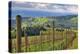View from Knights Gambit Vineyard, Dundee, Yamhill County, Oregon, USA-Janis Miglavs-Premier Image Canvas