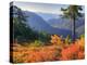 View from Kulshan Ridge, Heather Meadows Recreation Area, Washington, Usa-Jamie & Judy Wild-Premier Image Canvas