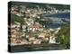 View from Monte De Guia of Horta, Faial, Azores, Portugal, Atlantic, Europe-Ken Gillham-Premier Image Canvas