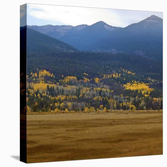 View from Moraine Park, Rmnp,USA-Anna Miller-Premier Image Canvas