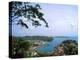View from Mountain of St. Georges, Grenada, Caribbean-Bill Bachmann-Premier Image Canvas
