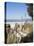 View from Palisades Down to Beach, Santa Monica Beach, Santa Monica, California, USA-Ethel Davies-Premier Image Canvas