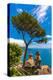 View from Ravello, Amalfi Coast (Costiera Amalfitana), UNESCO World Heritage Site, Campania, Italy-Neil Farrin-Premier Image Canvas