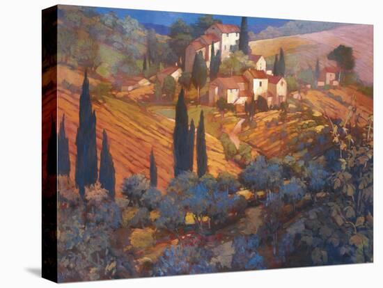 View From San Gimignano-Philip Craig-Stretched Canvas