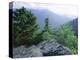 View from the Alum Cave Bluffs Trail in Great Smoky Mountains National Park, Tennessee, USA-Robert Francis-Premier Image Canvas