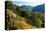 View from the Botanical Garden San Grato towards the Lake and Monte Bre Mountain-null-Stretched Canvas