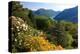 View from the Botanical Garden San Grato towards the Lake and Monte Bre Mountain-null-Stretched Canvas