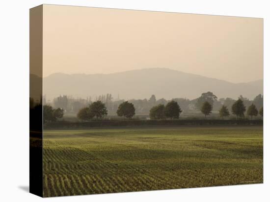 View from the Cotswold Way Footpath, Stanway Village, the Cotswolds, Gloucestershire, England-David Hughes-Premier Image Canvas