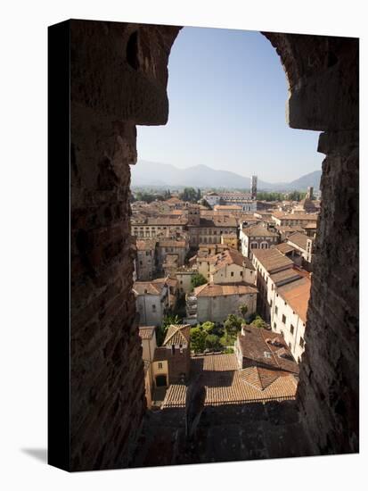 View from the Giunigi Tower, Lucca, Tuscany, Italy, Europe-Oliviero Olivieri-Premier Image Canvas