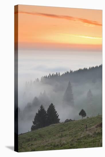 view from the Schauinsland over the Rhine plain at fog, Black Forest, Baden-Wurttemberg, Germany-Markus Lange-Stretched Canvas