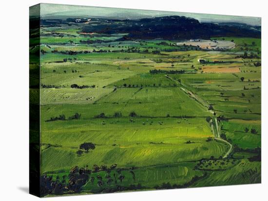 View from the Tor I, 2008, (Oil on Canvas)-Helen White-Premier Image Canvas