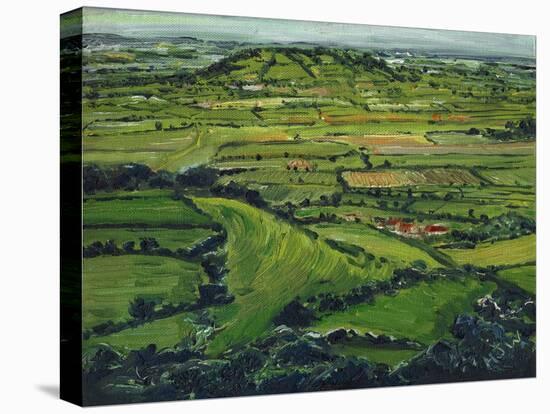 View from the Tor Ii, 2008, (Oil on Canvas)-Helen White-Premier Image Canvas