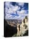 View from the Upper Section of the Bright Angel Trail, Beneath the South Rim, Arizona, USA-Ruth Tomlinson-Premier Image Canvas