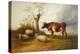 View in Stour Valley with Cow-Thomas Sidney Cooper-Premier Image Canvas