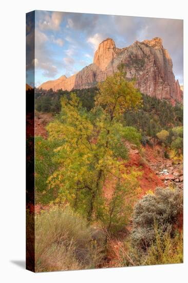 View Inside Zion Canyon-Vincent James-Premier Image Canvas