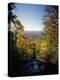 View into Valley from Amicalola Falls-James Randklev-Premier Image Canvas
