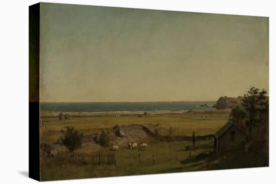 View Near Newport, Rhode Island, 1840-70-Thomas Worthington Whittredge-Premier Image Canvas