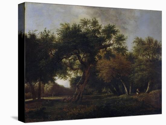 View of a Forest-Jan van Kessel-Stretched Canvas