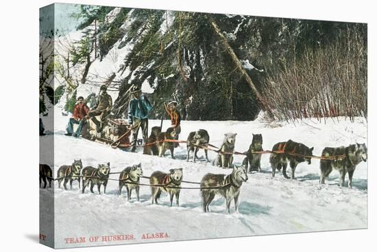 View of a Husky Dog-Sled Team - Alaska-Lantern Press-Stretched Canvas