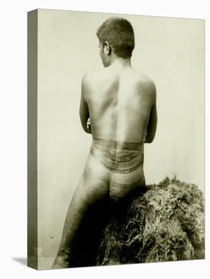 View of a Samoan Pe'A Tattoo, 19th Century-null-Premier Image Canvas