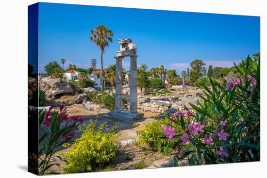 View of Ancient Agora, Kos Town, Kos, Dodecanese, Greek Islands, Greece, Europe-Frank Fell-Premier Image Canvas