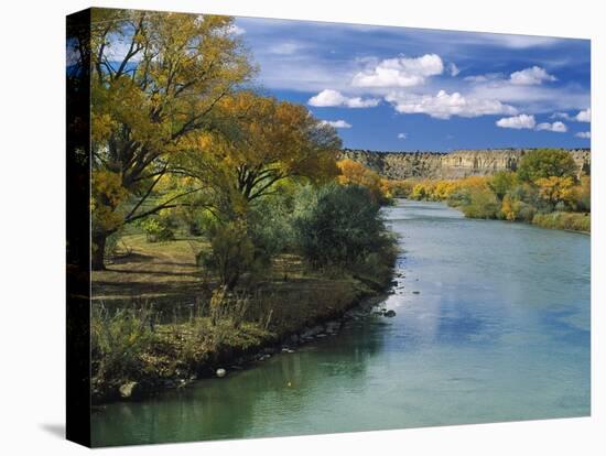 View of Animas River, New Mexico, USA-Massimo Borchi-Premier Image Canvas