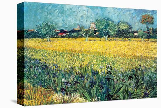 View of Arles with Irises-Vincent van Gogh-Stretched Canvas