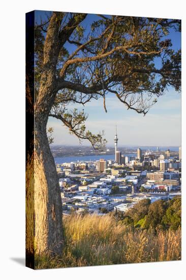 View of Auckland from Mount Eden, Auckland, North Island, New Zealand-Ian Trower-Premier Image Canvas
