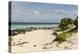 View of Beach and Sea of Zanj, Ihla Das Rolas, Mozambique-Alida Latham-Premier Image Canvas