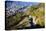 View of Bergen from Mount Floyen, Bergen, Hordaland, Norway, Scandinavia, Europe-Robert Harding-Premier Image Canvas