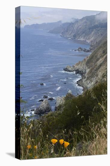 View of Big Sur coastline in California, USA-Natalie Tepper-Stretched Canvas