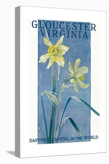 View of Blooming Daffodils - Gloucester, VA-Lantern Press-Stretched Canvas