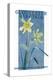 View of Blooming Daffodils - Gloucester, VA-Lantern Press-Stretched Canvas