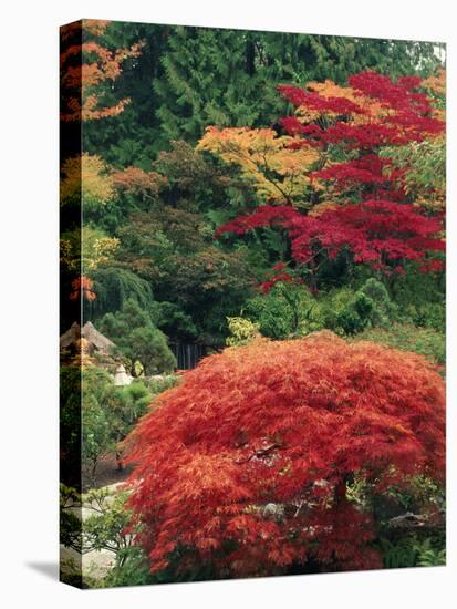 View of Butchart Garden, Victoria, British Columbia, Canada-Stuart Westmorland-Premier Image Canvas