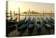 View of Canale di San Marco and with Gondolas, Venice, Italy-David Noyes-Premier Image Canvas