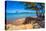 View of Capo Coda Cavallo beach and Isola di Tavolara in background, Sardinia, Italy, Mediterranean-Frank Fell-Premier Image Canvas