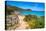 View of Capo Coda Cavallo beach from elevated position, Sardinia, Italy, Mediterranean, Europe-Frank Fell-Premier Image Canvas