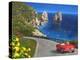 View of Capri-Dominic Davison-Stretched Canvas