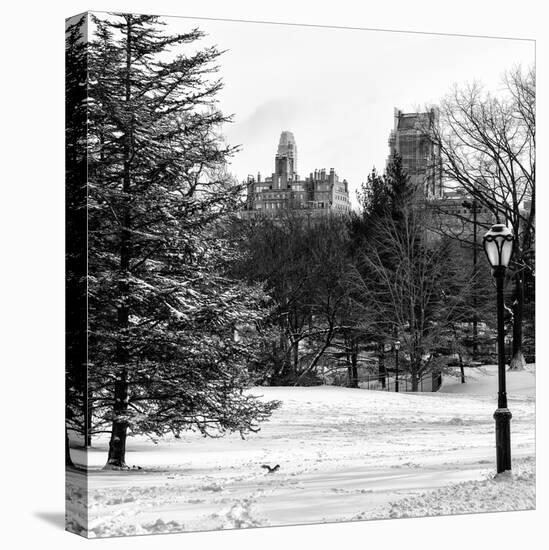 View of Central Park with a Squirrel running around on the Snow-Philippe Hugonnard-Premier Image Canvas