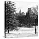 View of Central Park with a Squirrel running around on the Snow-Philippe Hugonnard-Premier Image Canvas