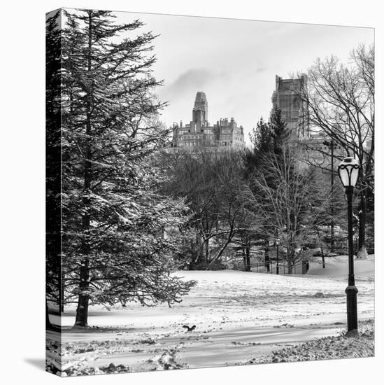 View of Central Park with a Squirrel running around on the Snow-Philippe Hugonnard-Premier Image Canvas