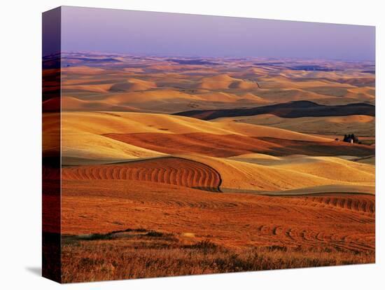 View of Colorful Palouse Farm Country at Twilight, Washington, USA-Dennis Flaherty-Premier Image Canvas