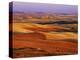 View of Colorful Palouse Farm Country at Twilight, Washington, USA-Dennis Flaherty-Premier Image Canvas