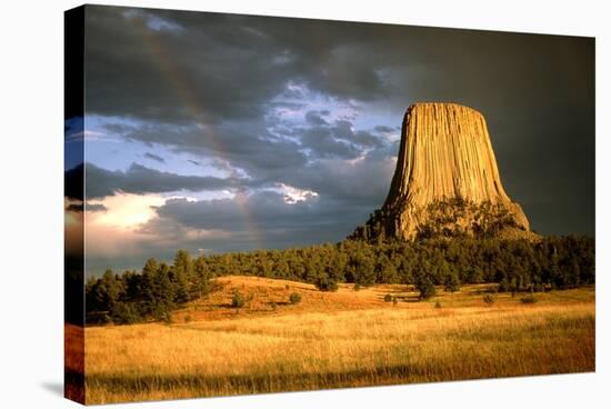 View of Devil's Tower, a Basalt Outcrop-Tony Craddock-Premier Image Canvas