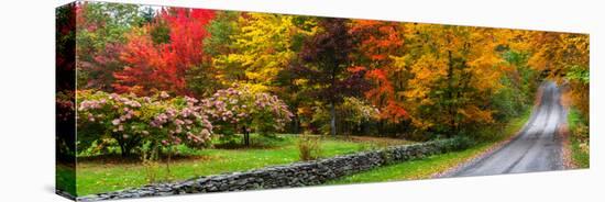 View of dirt road in autumn, Sutton, Quebec, Canada-null-Premier Image Canvas