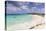 View of Divi Beach, Aruba, Lesser Antilles, Netherlands Antilles, Caribbean, Central America-Jane Sweeney-Premier Image Canvas