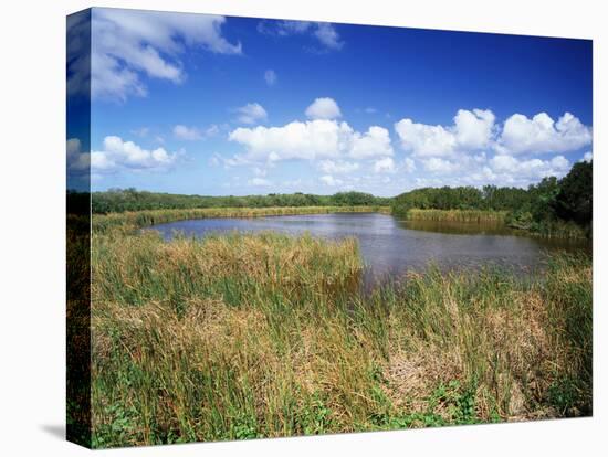 View of Eco Pond, Everglades National Park, Florida, USA-Adam Jones-Premier Image Canvas