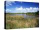 View of Eco Pond, Everglades National Park, Florida, USA-Adam Jones-Premier Image Canvas