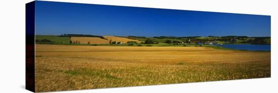 View of Field, Prince Edward Island, Canada-Walter Bibikow-Premier Image Canvas