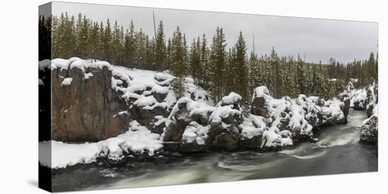 View of Firestone River, Yellowstone National Park, Wyoming, USA-Panoramic Images-Premier Image Canvas